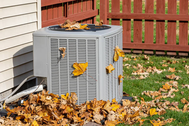 Best HVAC Tune-Up Services  in Panthersville, GA